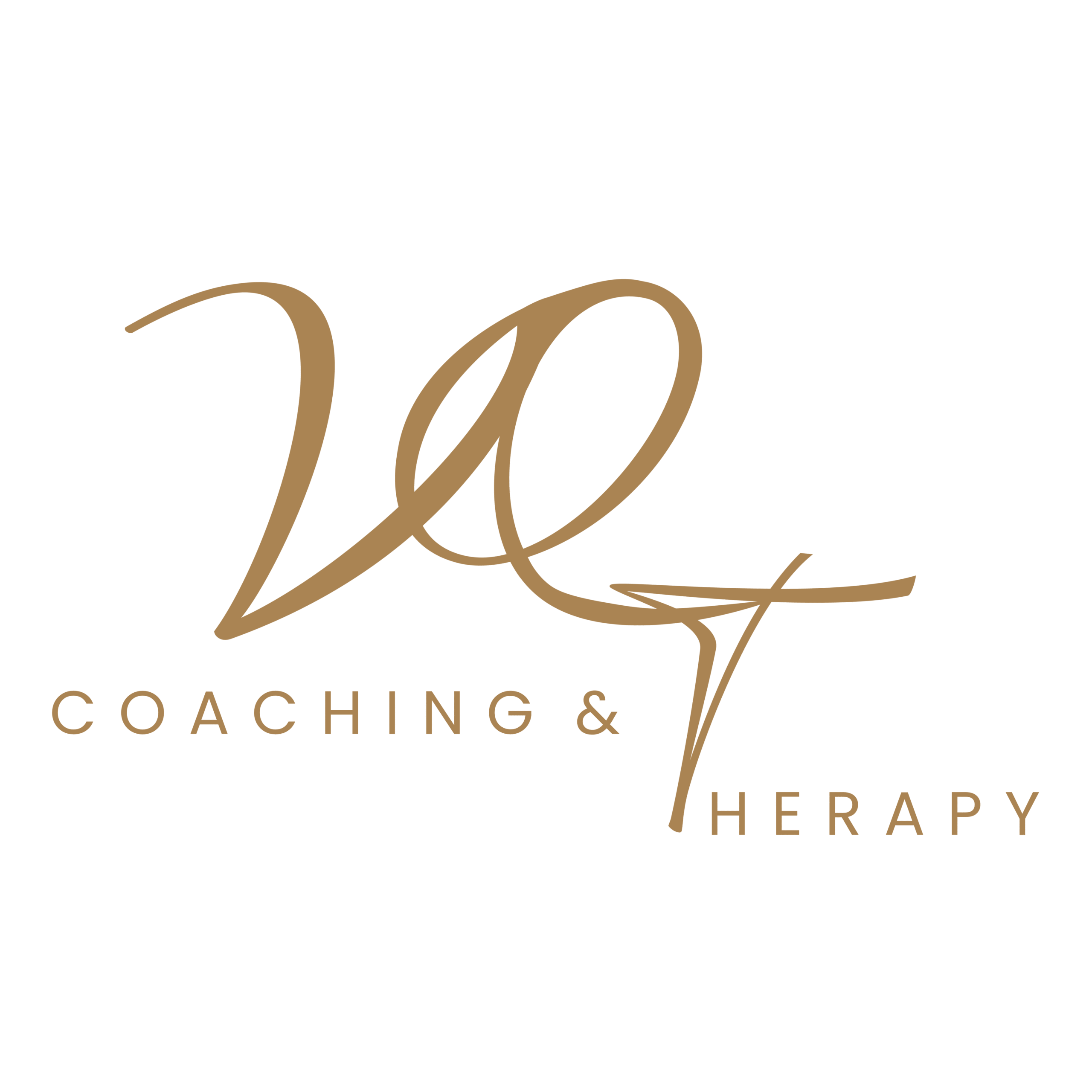 VQT COACHING